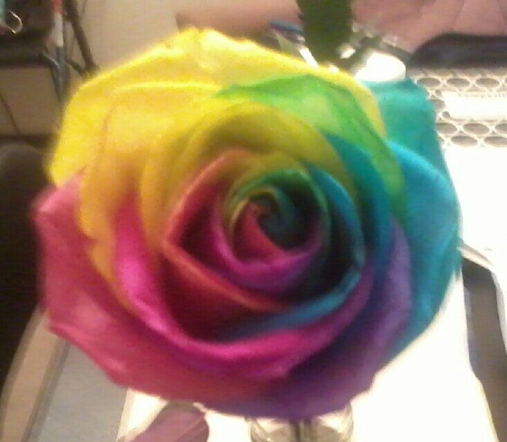 lori_ralph's profile picture. 