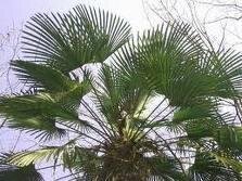 KeiMittie's profile picture. 本と漫画があれば幸せ　出る釘を育てる国にいたい　 ガイドヘルパーでき〼 　Noteで https://t.co/eSdJdKad4h フレンチライフ書いてます https://t.co/Y44lWOnosx