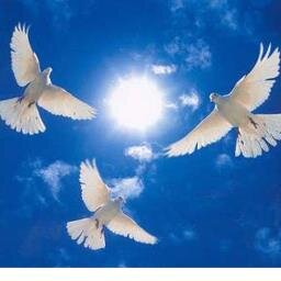 ( Followback) Believe in life is everything!