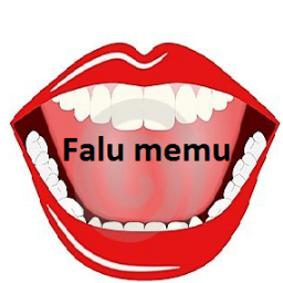 53105--- T4 L1G4DU