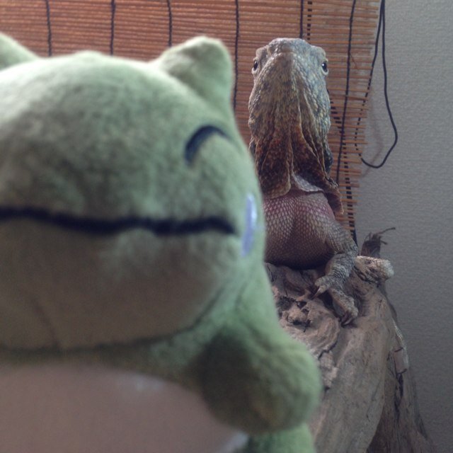 ま♪ま♪まぐろあんだーそん♪