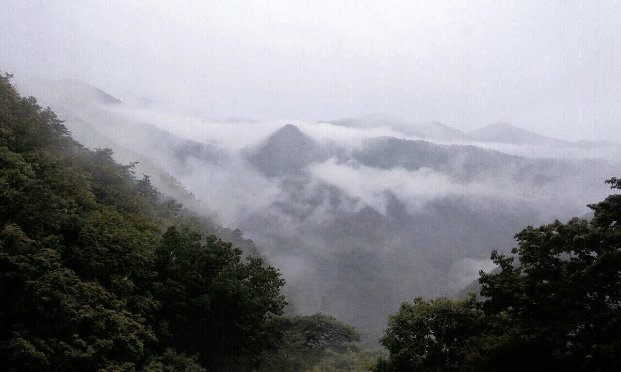 안녕하세요! 
바다낚시 등산 트래킹 좋아합니다. 
먹고 사는게 바빠 자주는 못갑니다.
부동산 개발 거래 관심 많습니다.
낚시꾼  백패킹 #낚시당 루어 배스 월척 붕어 선상낚시 감성돔 꺽지 부시리 
맞팔 100%
