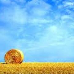 NadRitz's profile picture. ^_________________________________________________^