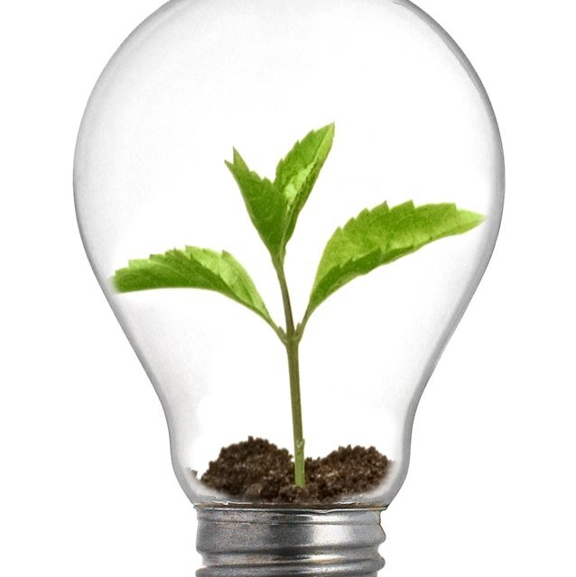 TeachingandL's profile picture. Teacher. Inspired Professional Development. Improving Teaching and Learning
