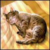 Принимать советы врагов - ошибка, но выслушивать их нужно, чтобы поступать наоборот. Это и будет истинно правильный образ действий.
