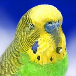 むーさんのプロフィール画像