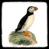 Haniel (@suejsimpson) 's Twitter Profile