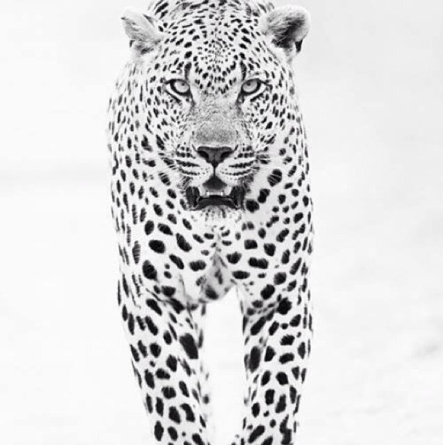 TrudatTrudattt's profile picture. Follow and good luck will follow