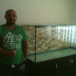 Taşlara fısıldayan adam