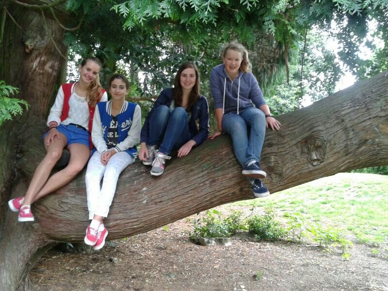 Heey ik ben Silke. 15 jaar en zit in 3P op Het Rhedens Dieren. Ik doe aan handbal. You can follow me if you want :)