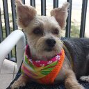 Deb Gale - @dvgale2 - Twitter