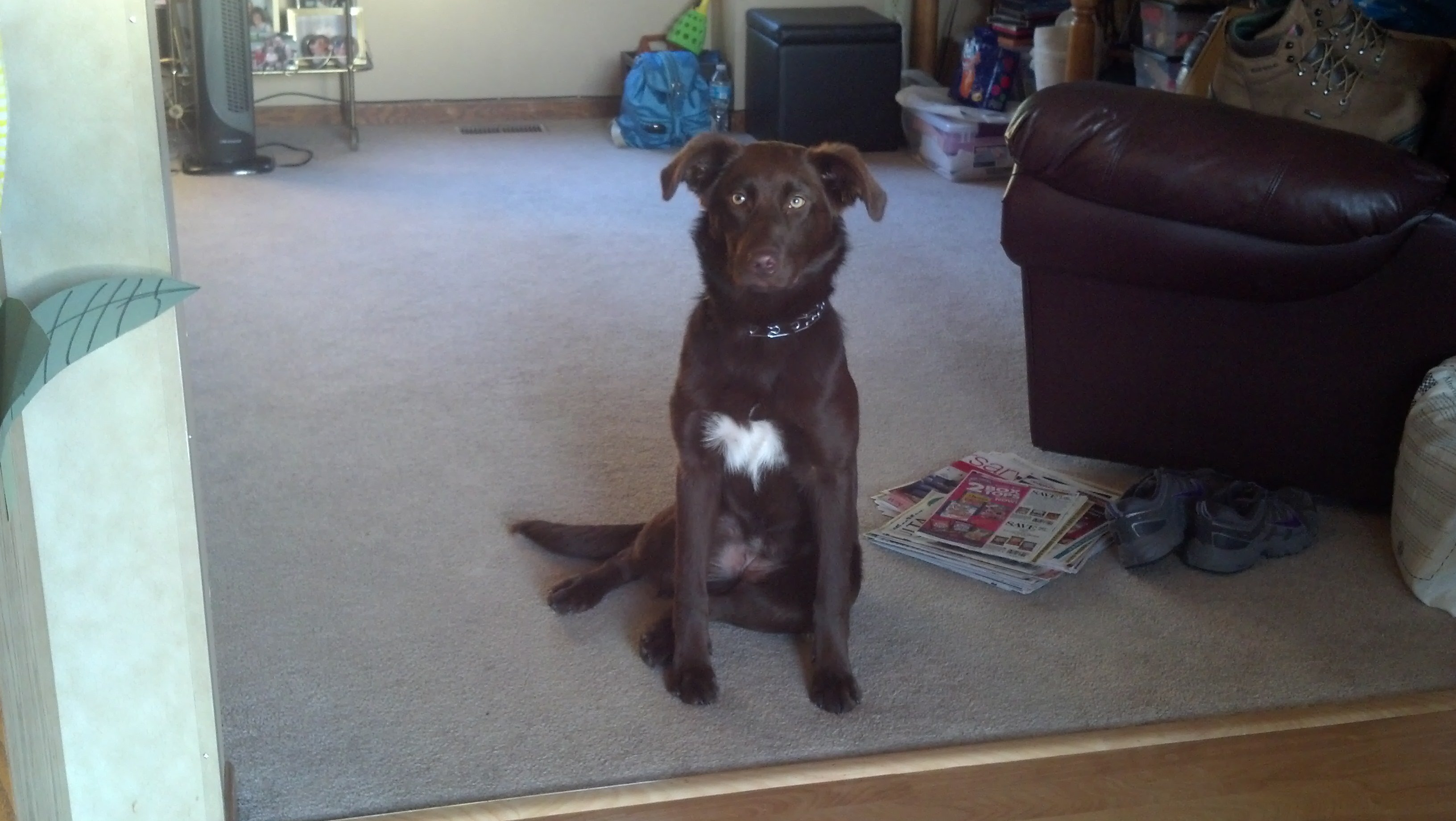 Bikewong41's profile picture. 