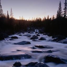 EdwinTapie's profile picture. 