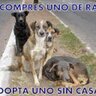 comporanimal's profile picture. Blog especializado en comportamiento animal, Mascotas Petshop https://t.co/KxqPxevfHb Tienda https://t.co/2M8xqmuxSh Ropa
https://t.co/t7d8dNjOHF