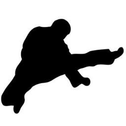 Todo sobre artes marciales, estilos, entrenamiento, historia, nutrición, cine, frases, filosofía ...
