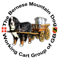 A group of Bernese Mountain Dogs and Handlers who promote the working side of their breed