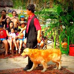 The show is conducted by Mr. Rhandy Macalma, quarter-finalist at Pilipinas Got Talent Season 4. FB & IG: @dogshowforparties 🐕🐩🐾🐶