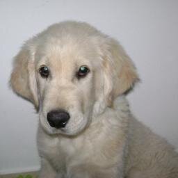 GmailJURAN's profile picture. 