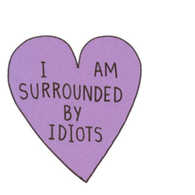 i literally follow everyone