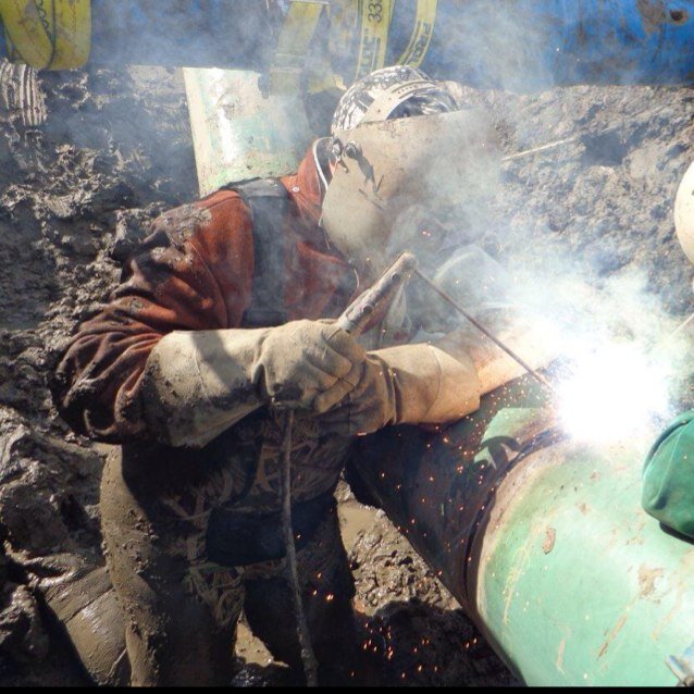 cowcomber's profile picture. 