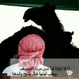 أغلى ابلنا في موجب الضيف والجار & يحلب لبنهـا قبـل يذبـح ولـدهــا