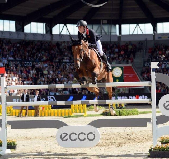 Showjumper
 Golden medalist 2012. MBE. Peebles, Scotland.