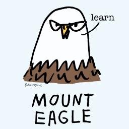 Mount Eagle Elementary School is located in Fairfax County Virginia. We serve a diverse population in grades PK-6 and love to learn!