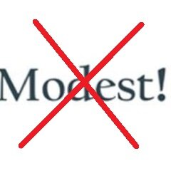 We Hate Modest 'Cause They Control One Direction's Life Too Much...