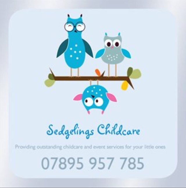 Professional and Qualified babysitter and children's event organiser