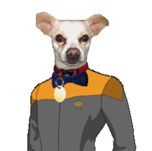 BrutusOtis's profile picture. 