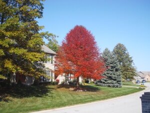 RealEstate1939's profile picture. Become a real estate agent. You will find the best tips here.