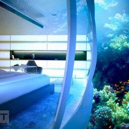 gux007's profile picture. Entrepreneur