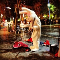Follow the White Rabbit