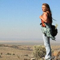 Mustang Meg (@wildmustangmeg) 's Twitter Profile