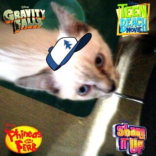 sarakeith1234's profile picture. 