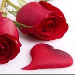 Plante a paz, regue com sabedoria, cuide com paciência, trate com gratidão e colha o fruto do amor. ♥