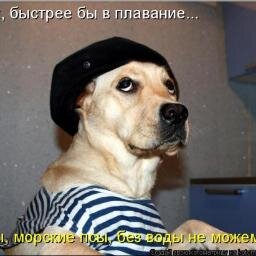 No comments