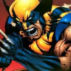 I'm a mutant that goes by the alias Wolverine. But lets not focus on me, what you should worry about is your condition when I'm through with you.