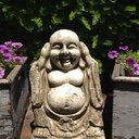 Paula Voss - @PaulaPrvoss - Twitter