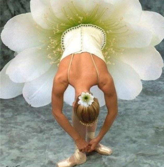 InspiresDance's profile picture. Life... Oh, did you mean DANCE? Live, Love, Dance! Feel free to ask me anything, I love giving out tips! 769 beautiful dancers❤️ XOXO