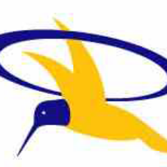 masud909's profile picture. Hello twitter around the world . good Morning.