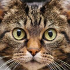 Read my informative and nice articles on Bubblews! My nickname the same on bubblews.