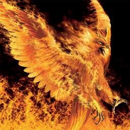 The Phoenix Groupさんのプロフィール画像