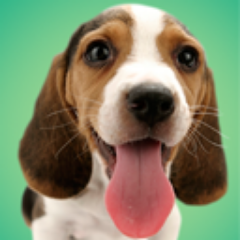 iPhone app that sends you cute pics of puppies every day. Add your pups to the collection and share them with the world. Follow for a world of cute