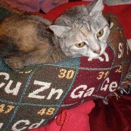 MTSUChemist's profile picture. Professor of Chemistry, WISTEM Director