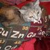 Dr. Judith M. Gross (@mtsuchemist) Twitter profile photo