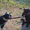 Fred and George  - @FredAndGeorge30 - Twitter