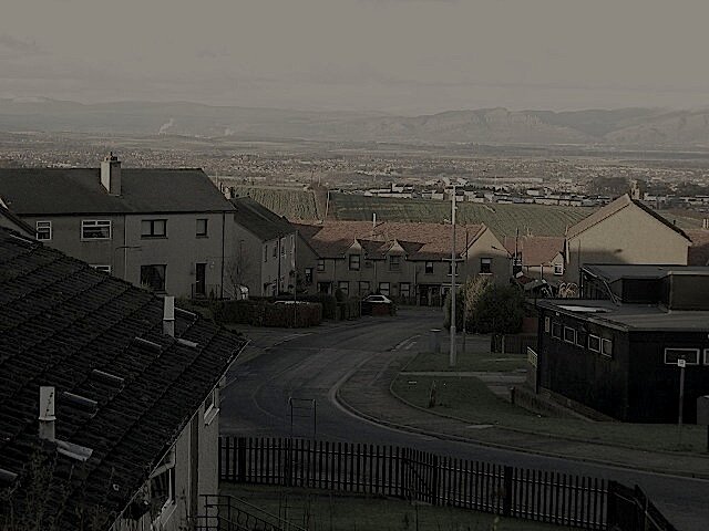 Hello and welcome to The Cran, a dive in Central Scotland. We have plenty to show you so cum in.