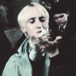 † the boy who lived † 23/08