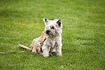 はじめまして！犬と音楽が大好きな中年おやじです。また読書も結構好きで、偉人の名言集など良く読んでます。たくさんの有名・無名の方の言葉に救われることもありますね。また最近では自然エネルギーやネットビジネスの可能性に注目しています。気が向いたら、気軽に絡んでください！